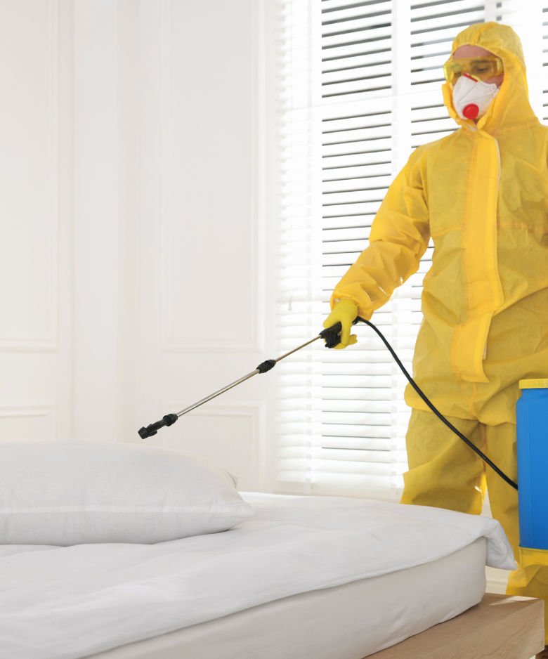 Professional Pest Control Team in Glenelg South